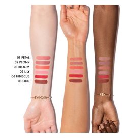 Dior Forever Blush Soft Filter - Flüssiges, geschlagenes Rouge - Leuchtendes mattes Finish Dior Forever Blush Soft Filter - Flüssiges, geschlagenes Rouge - Leuchtendes mattes Finish